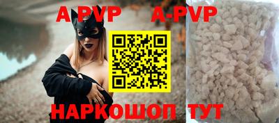 спиды Кингисепп