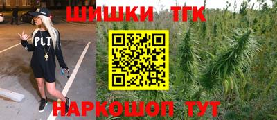 спиды Кингисепп