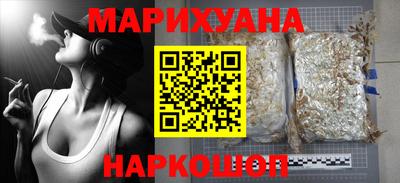 спиды Кингисепп