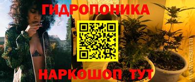 спиды Кингисепп