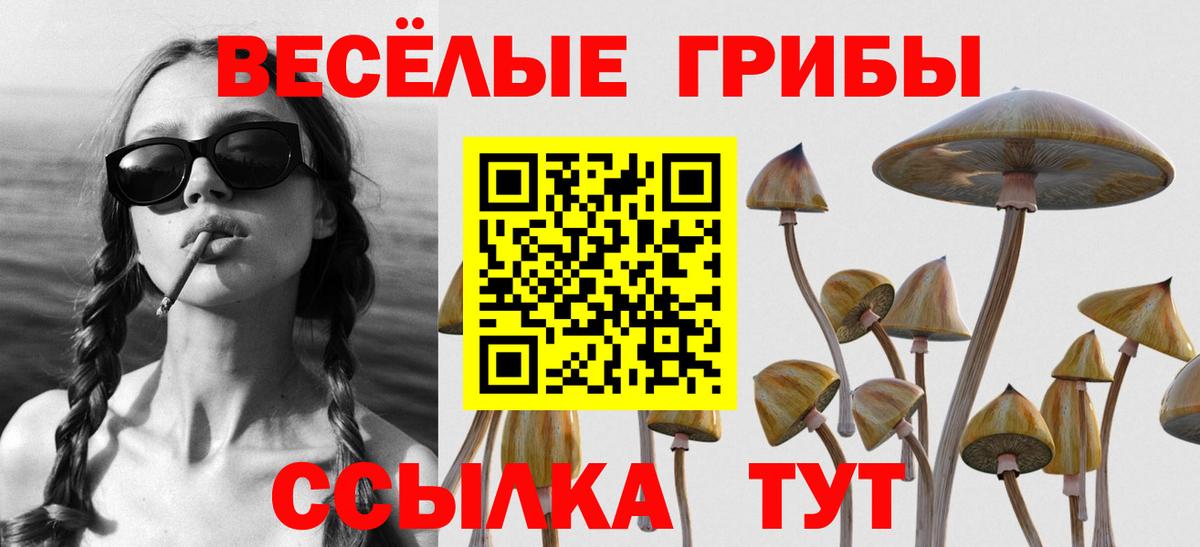 Псилоцибиновые грибы Magic Shrooms  Вход с VPN  что такое   Псилоцибиновые грибы MAGIC MUSHROOMS  Алапаевск 